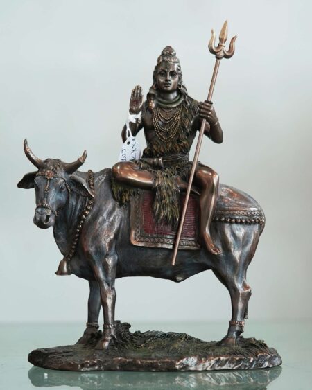 SHIV WITH COW